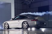 Porsche 911 Classic Club Coupe de vanzare