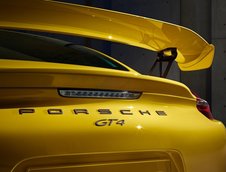 Porsche Cayman GT4