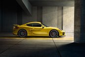 Porsche Cayman GT4