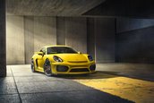 Porsche Cayman GT4