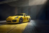 Porsche Cayman GT4