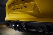 Porsche Cayman GT4