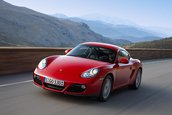 Porsche continua strategia de reducere a consumului de combustibil