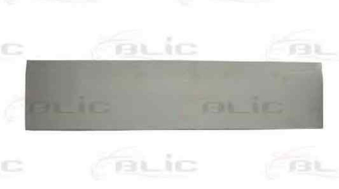 Portiera spate FIAT DUCATO bus (230) BLIC 6015-00-2092152P