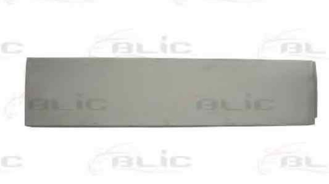 Portiera spate FIAT DUCATO bus (230) BLIC 6015-00-2092151P