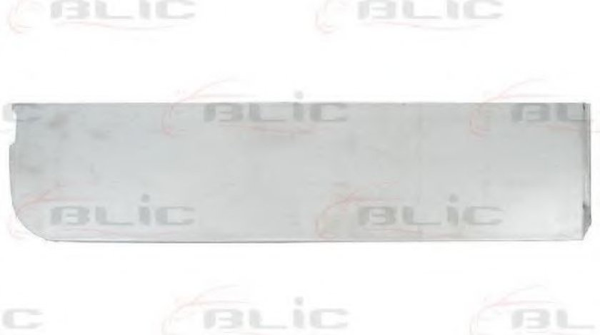 Portiera spate FORD TRANSIT bus (2006 - 2014) BLIC 6013-00-2509723P piesa NOUA