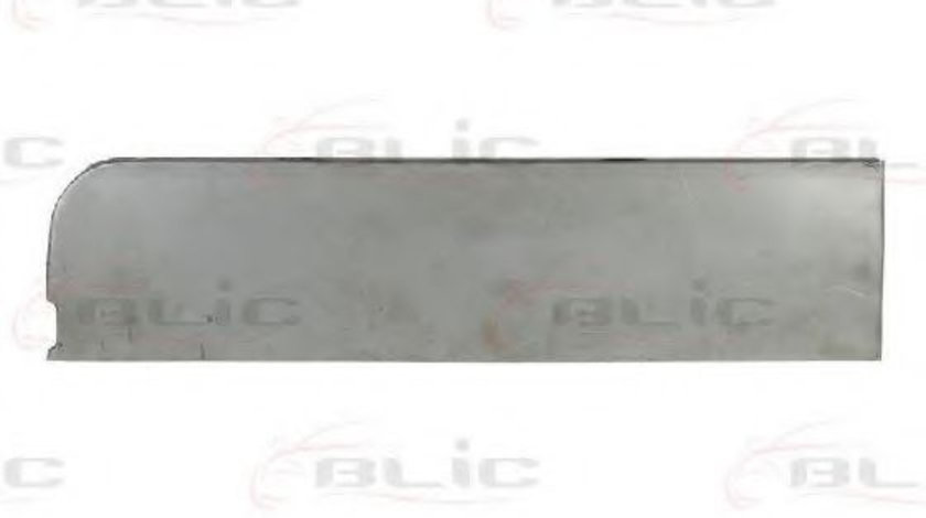 Portiera spate FORD TRANSIT bus (FD, FB, FS, FZ, FC) (2000 - 2006) BLIC 6013-00-2509724P piesa NOUA