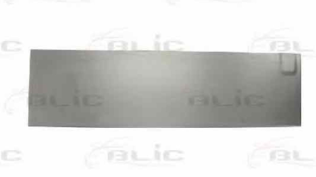 Portiera spate MERCEDES-BENZ SPRINTER 2-t bus (901, 902) BLIC 6016-00-3546154P