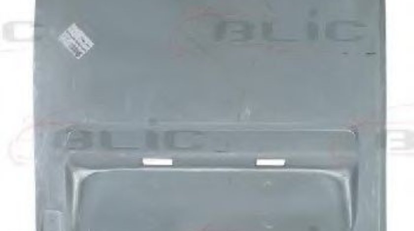 Portiera spate MERCEDES SPRINTER 2-t caroserie (901, 902) (1995 - 2006) BLIC 6016-00-3546155P piesa NOUA