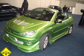 Power Tuning Show Arad Editia 2004