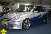 Power Tuning Show Arad Editia 2005