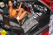 Power Tuning Show Arad Editia 2005