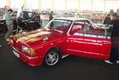 Poze public 4TuningDAYS 2010