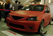 Poze public 4TuningDAYS 2010