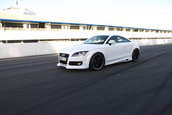 PPI a modificat Audi PS TT Coupe