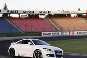 PPI a modificat Audi PS TT Coupe