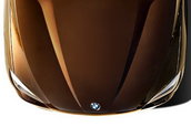 Primele imagini cu BMW X1