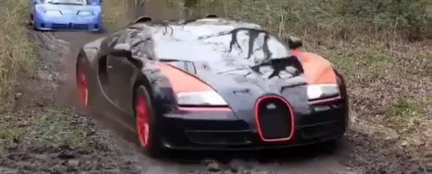 Prin noroaie cu masini de peste 3 milioane de euro: Ferrari LaFerrari, Bugatti Veyron, Lamborghini Countach, etc.