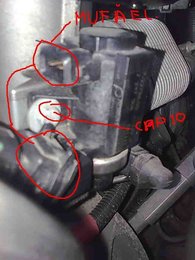 Problema BMW 530d e39?