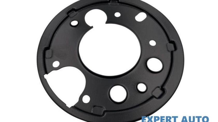 Protectie disc frana dreapta spate Mercedes Sprinter (1996-2006) [904]