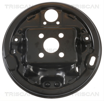 Protectie Stropire Disc Frana Triscan Renault 8125 25201