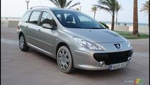 Punte Spate Completa Peugeot 307 Sw Din 2006