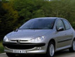 PUNTE SPATE PEUGEOT 206