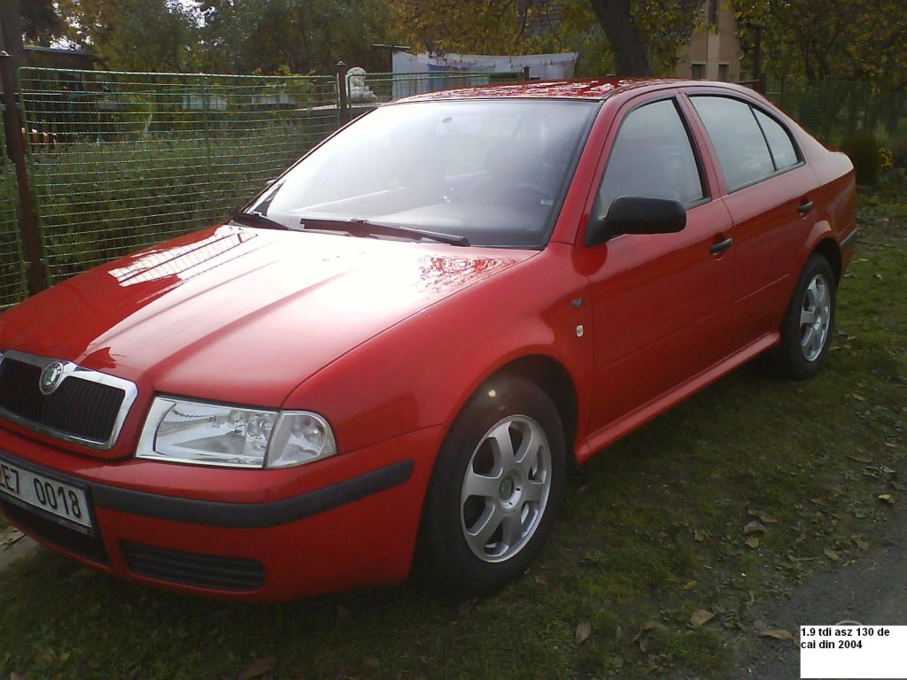 Punte Spate Skoda Octavia 98 2008 Toate Motorizarile