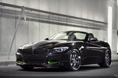 Puterea Seductiei: BMW Z4 Slingshot by MWDesign