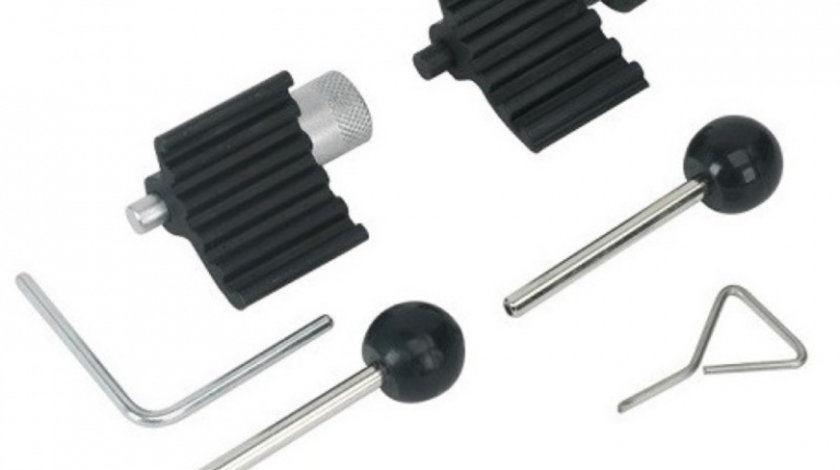 QS10365 Set blocaj distributie pentru motor TDI PD