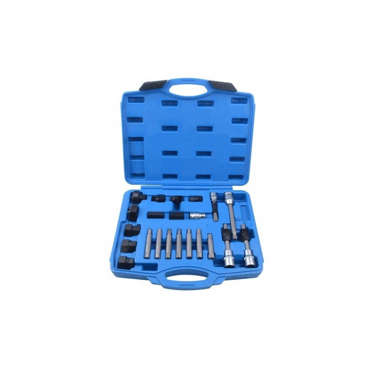 QS20236 Set de cheie pentru fulii alternator 24 piese