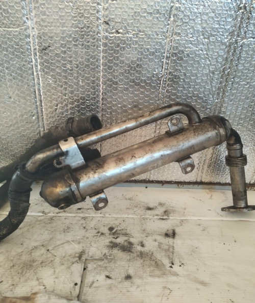 Răcitor de gaze BLS, BMP, BMM 1.9/2.0 TDI 03G131512S Volkswagen VW Jetta