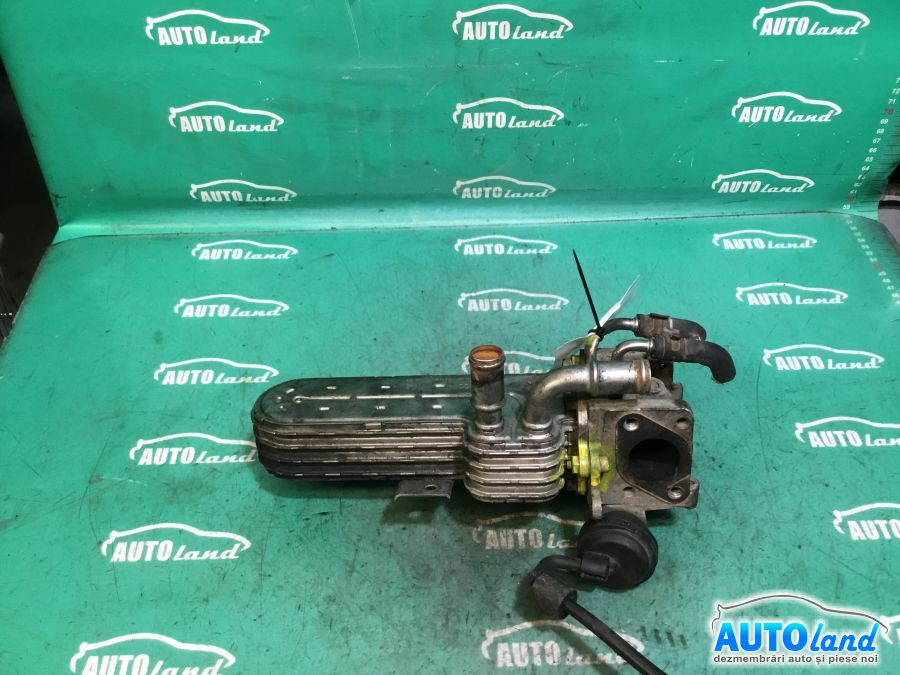 Racitor EGR 038131513ad 1.9 TDI Volkswagen GOLF V 1K1 2003