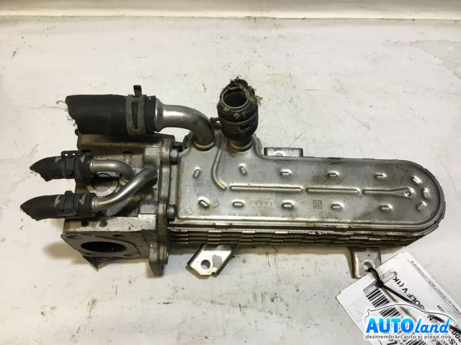 Racitor EGR 038131513ad 1.9 TDI Volkswagen GOLF V 1K1 2003
