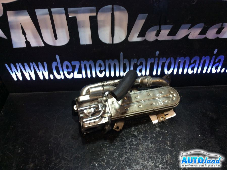 Racitor EGR 038131513ad 1.9 TDI Volkswagen GOLF V 1K1 2003