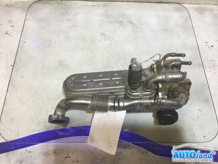 Racitor EGR 038131513ad 1.9 TDI Volkswagen GOLF V 1K1 2003