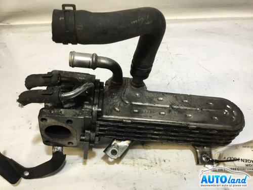 Racitor EGR 038131513ad Volkswagen GOLF V Variant 2007