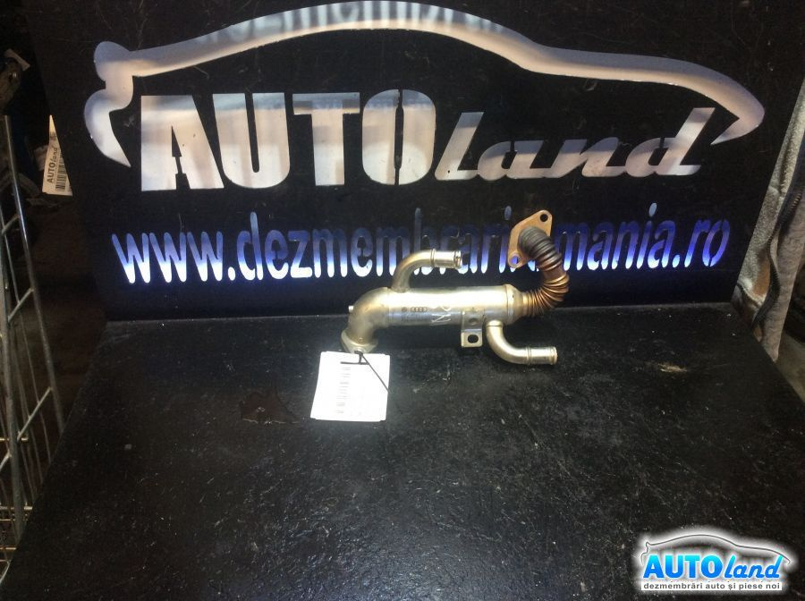 Racitor EGR 1.4 TDI Bnv Skoda FABIA 2006