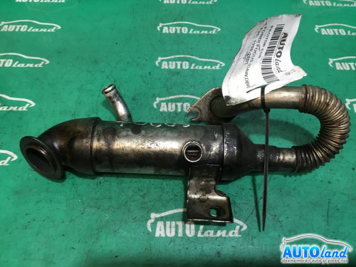 Racitor EGR 1.8 TDDI Ford FOCUS DAW,DBW 1998-2001