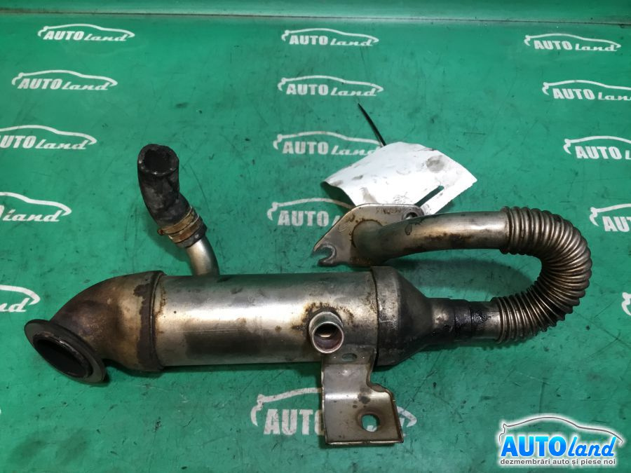 Racitor EGR 1.8 TDDI Ford FOCUS DAW,DBW 2001-2007