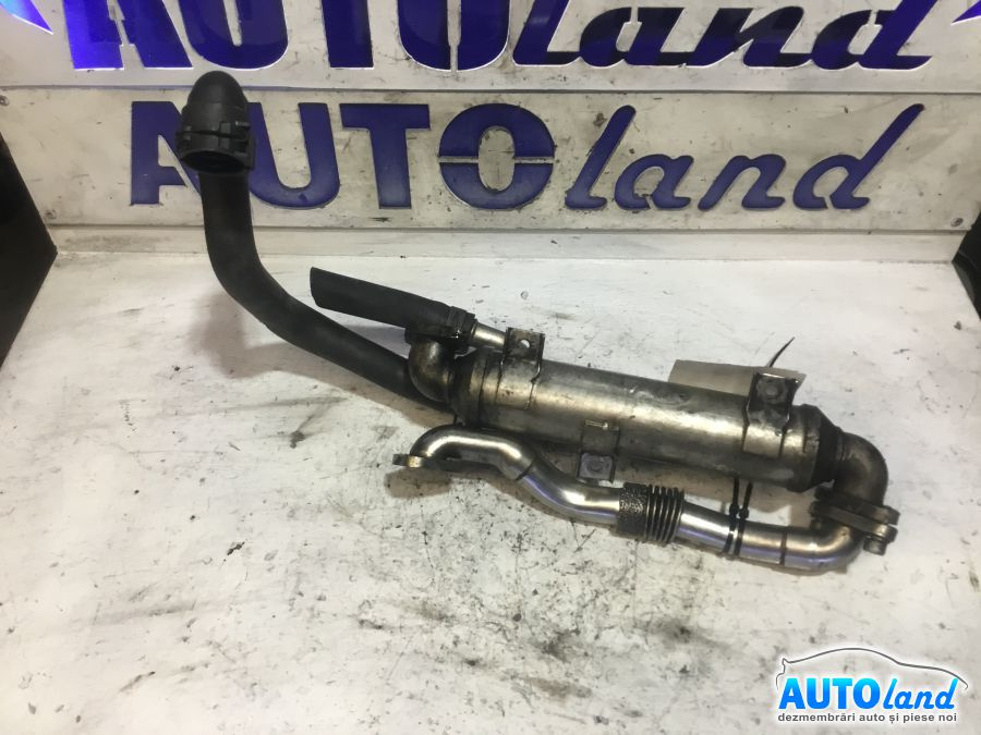 Racitor EGR 1.9 TDI Volkswagen PASSAT 3B3 2000-2005