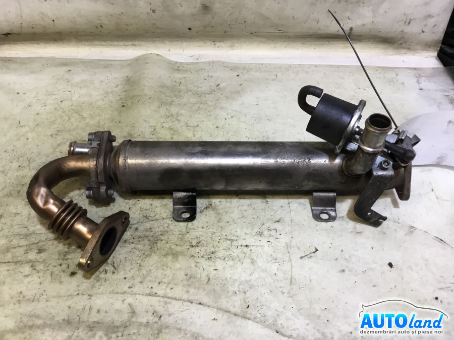 Racitor EGR 2.0 TDI Volkswagen PASSAT CC 2008