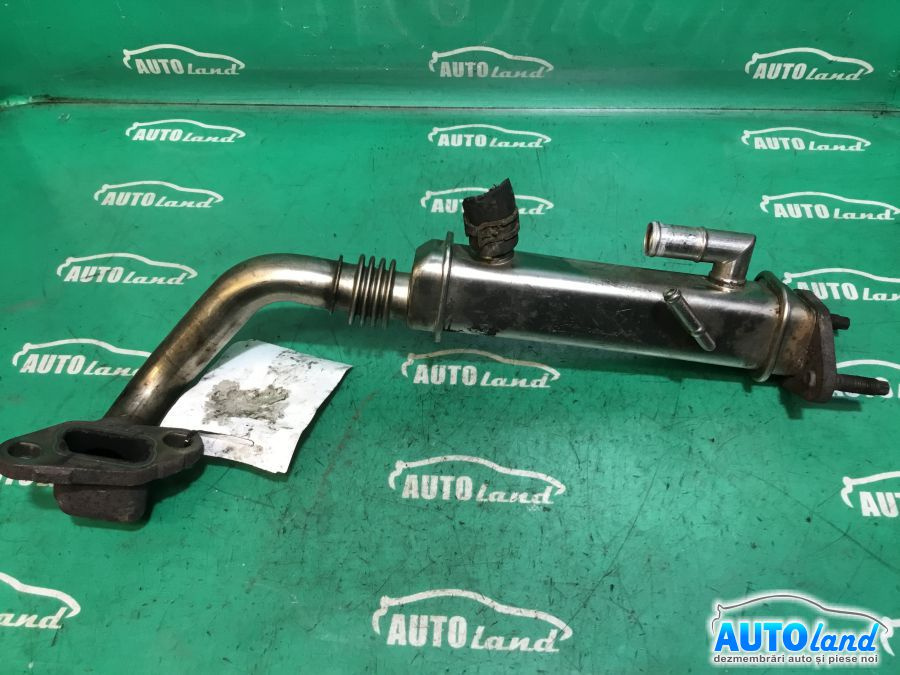 Racitor EGR 2.2 D Nissan X-TRAIL T31 2007