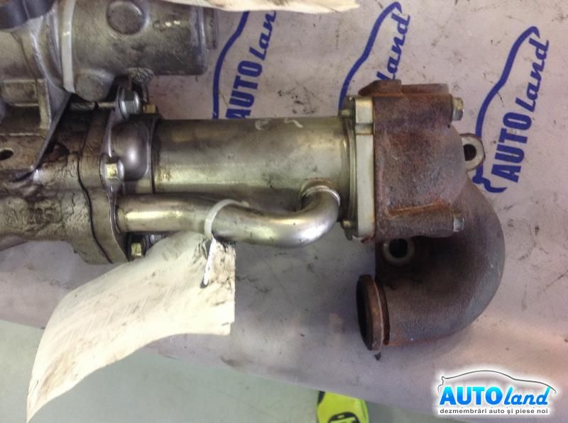Racitor EGR 8200545260 1.5 DCI Model 2007 Euro 4 Renault KANGOO KC0/1 1997