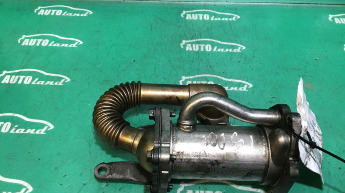 Racitor EGR 8200729079 1.5 DCI Renault CLIO III BR0/1,CR0/1 2005