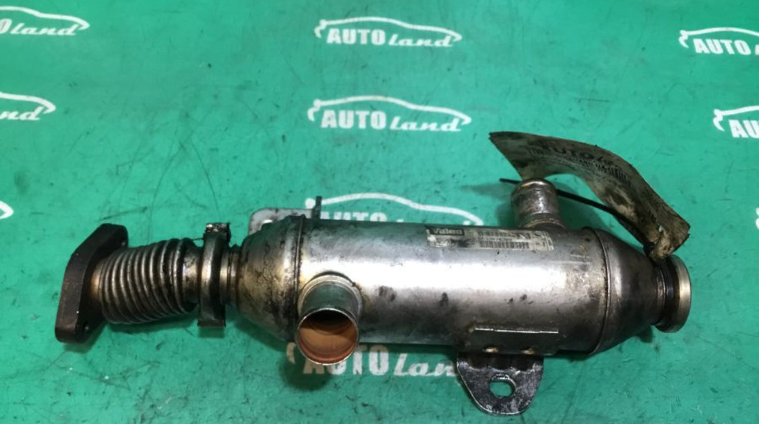 Racitor EGR 9639874380 Peugeot 307 3A/C 2000