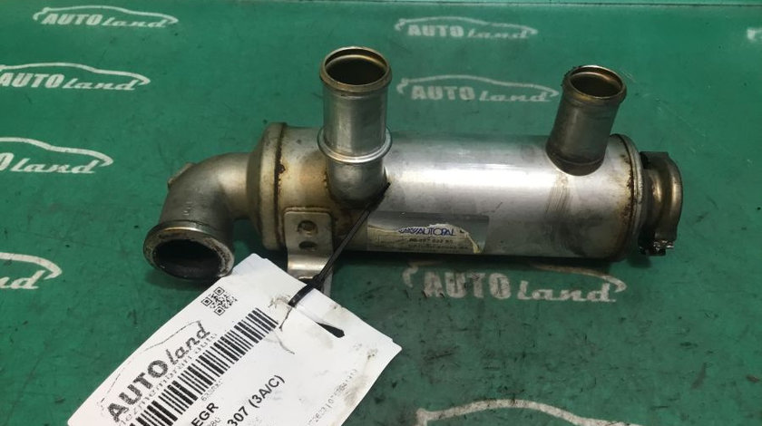 Racitor EGR 9646762280 1.6 HDI Peugeot 307 3A/C 2000