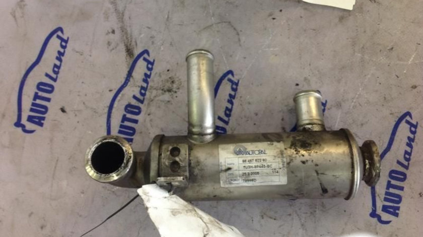 Racitor EGR 9646762280 1.6 HDI Peugeot 407 6D 2004