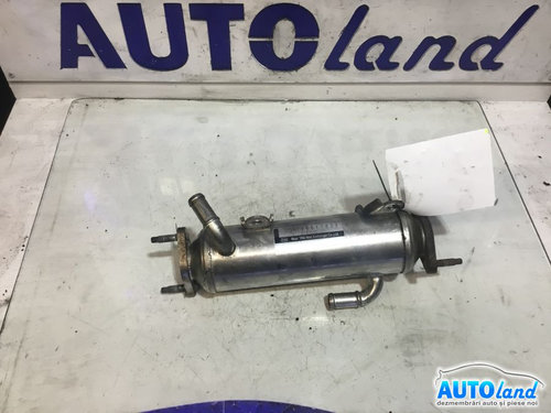 Racitor EGR 96817829 2.0 D Chevrolet CAPTIVA 2006