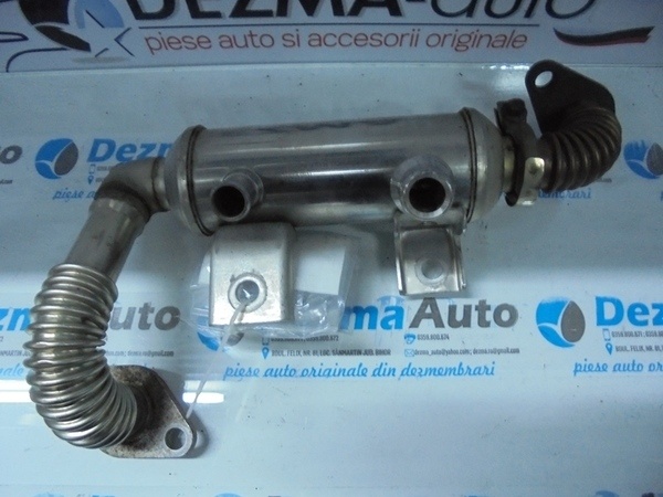 Racitor gaze, 4M5Q-9F464-B1C, Ford Focus 2 Combi (DAW) 1.8 tdci (id:194689)